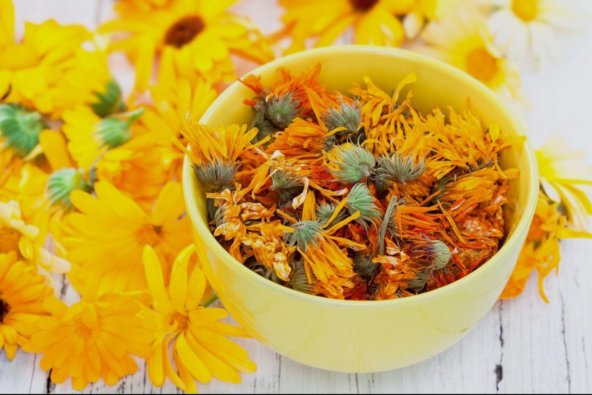 High Vibration Calendula Glow Oil