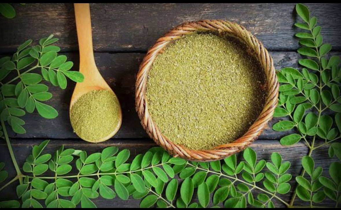 Moringa oleifera Powder