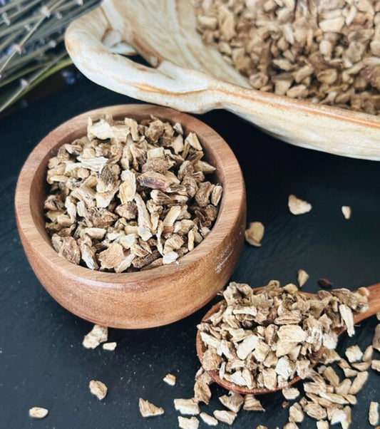 Burdock Root
