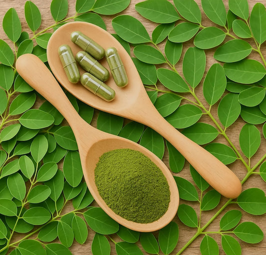 Moringa oleifera Powder