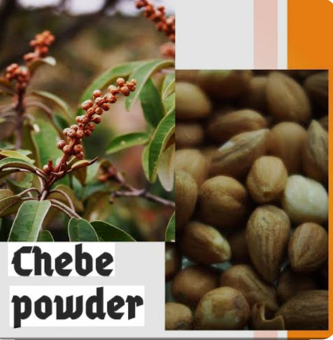 Chebe Moisture Shampoo